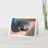 Swift Bird zur Hand Karte (Vorderseite)