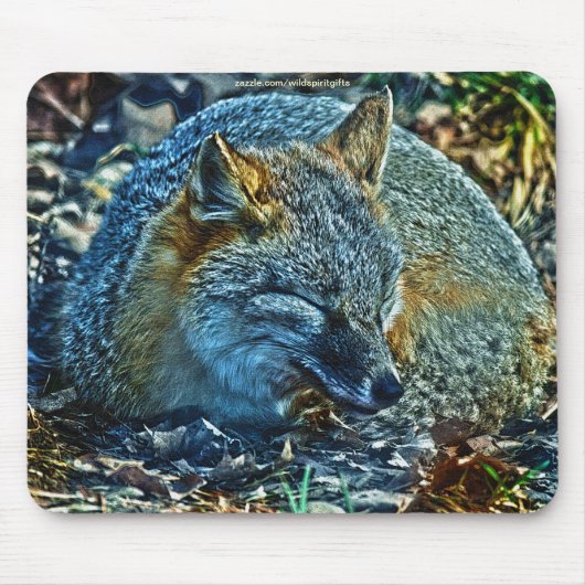 Swift Fox Asleep auf Blätter Wildlife Mousepad (Vorne)