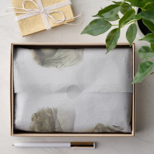 Swift Fox. Männlich. (Vulpes velox) Holzdecoupage Seidenpapier (Geschenk)