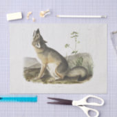 Swift Fox. Männlich. (Vulpes velox) Holzdecoupage Seidenpapier (Handwerk)