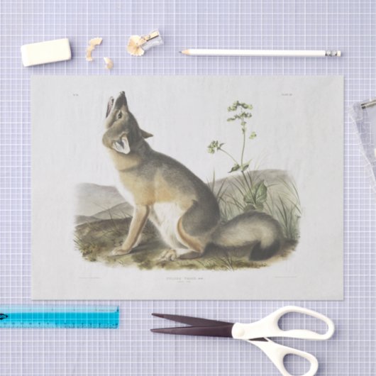 Swift Fox. Männlich. (Vulpes velox) Holzdecoupage Seidenpapier (Handwerk)