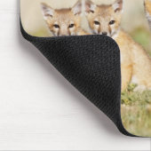 Swift Fox (Vulpes macrotis), jung in den Burrow, 2 Mousepad (Ecke)