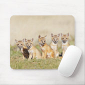 Swift Fox (Vulpes macrotis), jung in den Burrow, 2 Mousepad (Mit Mouse)