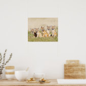 Swift Fox (Vulpes macrotis), jung in den Burrow, 2 Poster (Küche)