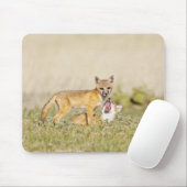 Swift Fox (Vulpes macrotis), jung in den Burrow, 4 Mousepad (Mit Mouse)