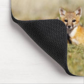 Swift Fox (Vulpes macrotis), jung in den Burrow, 5 Mousepad (Ecke)