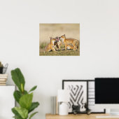 Swift Fox (Vulpes macrotis), jung in den Burrow, Poster (Heimbüro)