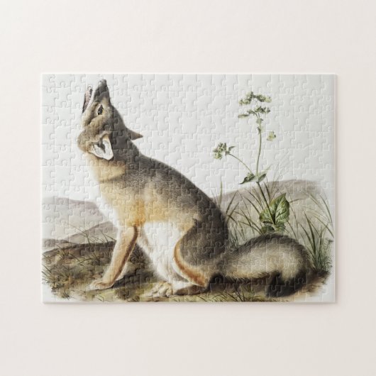 Swift Fox (Vulpes velox) Illustration Puzzle (Horizontal)