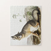 Swift Fox (Vulpes velox) Illustration Puzzle (Vertikal)