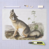 Swift Fox (Vulpes velox) vom viviparen Quadr Seidenpapier (Handwerk)