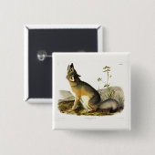 Swift Fox (Vulpes Velox) von Audubon Quadrupeds Button (Vorne & Hinten)