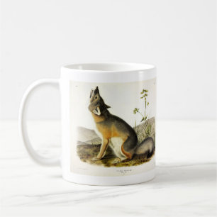Swift Fox (Vulpes Velox) von Audubon Quadrupeds Kaffeetasse