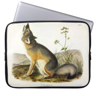 Swift Fox (Vulpes Velox) von Audubon Quadrupeds Laptopschutzhülle