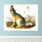Swift Fox (Vulpes Velox) von Audubon Quadrupeds Leinwanddruck (Insitu (Holzboden))