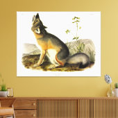Swift Fox (Vulpes Velox) von Audubon Quadrupeds Leinwanddruck (Insitu (Wohnzimmer))