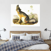 Swift Fox (Vulpes Velox) von Audubon Quadrupeds Leinwanddruck (Insitu (Schlafzimmer))