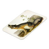 Swift Fox (Vulpes Velox) von Audubon Quadrupeds Magnet (Linke Seite)