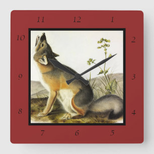 Swift Fox (Vulpes Velox) von Audubon Quadrupeds Quadratische Wanduhr