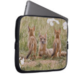 Swift Fox (Vulpes velox) weiblich mit jung bei Laptopschutzhülle (Vorne Rechts)