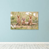 Swift Fox (Vulpes velox) weiblich mit jung bei Leinwanddruck (Insitu (Holzboden))