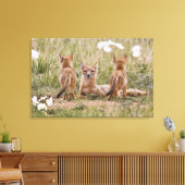 Swift Fox (Vulpes velox) weiblich mit jung bei Leinwanddruck (Insitu (Wohnzimmer))