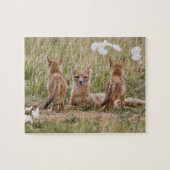 Swift Fox (Vulpes velox) weiblich mit jung bei Puzzle (Horizontal)