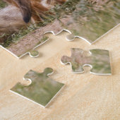 Swift Fox (Vulpes velox) weiblich mit jung bei Puzzle (Seite)