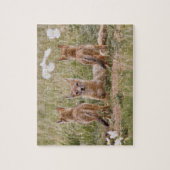 Swift Fox (Vulpes velox) weiblich mit jung bei Puzzle (Vertikal)