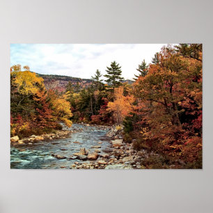 Swift River Autumn Poster