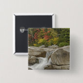 Swift River, der durch Felsen zieht Button (Vorne & Hinten)