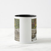 Swift River, der durch Felsen zieht Tasse (Zentrum)