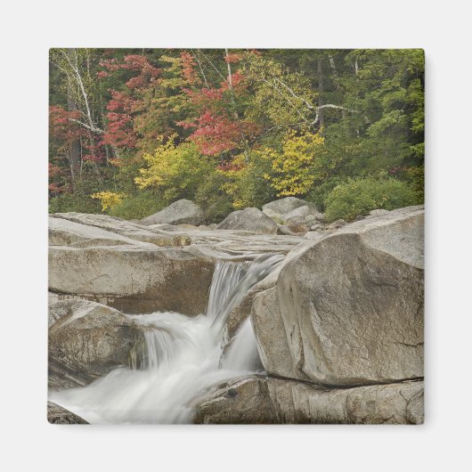 Swift River kaskadiert durch Felsen, White Magnet (Vorne)