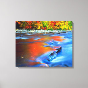 Swift River mit herbstlichen Farben Leinwanddruck