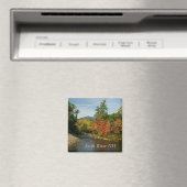 Swift River NH Magnet (In Situ (Geschirrspüler))