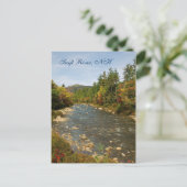 Swift River, NH Postcard Postkarte (Stehend Vorderseite)
