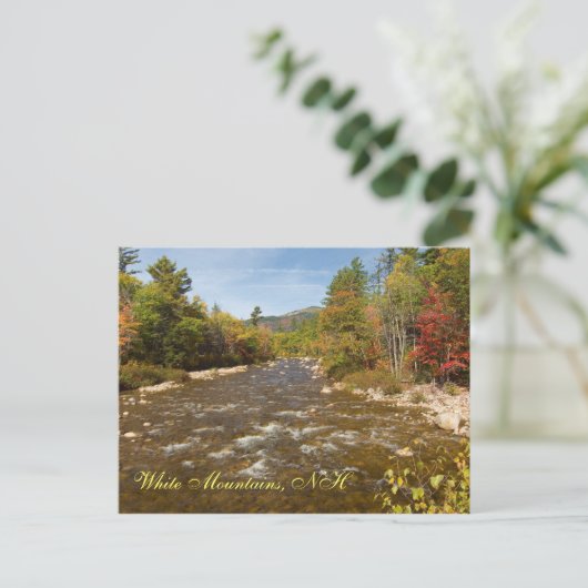 Swift River NH Postcard Postkarte (Stehend Vorderseite)