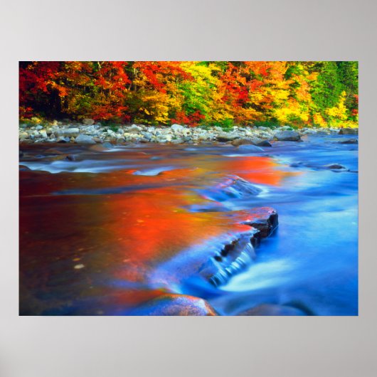 Swift River reflektiert Herbstfarben Poster (Vorne)