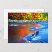 Swift River reflektiert Herbstfarben Postkarte (Vorne/Hinten)