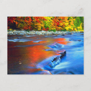 Swift River reflektiert Herbstfarben Postkarte