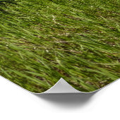 Swiftcurrent Lake View - Glacier National Park Poster (Ecke)