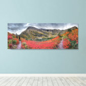 Swiftcurrent Pass - Glacier Nationalpark Leinwanddruck (Insitu (Holzboden))