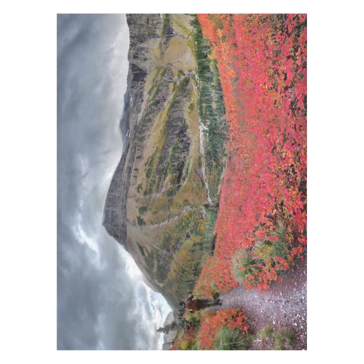 Swiftcurrent Pass - Glacier Nationalpark Tischdecke (Vorderseite)