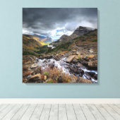 Swiftcurrent Pass Trail 3 - Glacier National Park Leinwanddruck (Insitu (Holzboden))