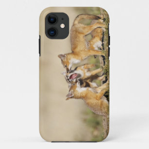 Swiftfuchs (Vulpes macrotis) Jungtier am Bau, iPhone 11 Hülle