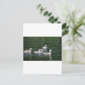 Swim Friends Postkarte (Stehend Vorderseite)