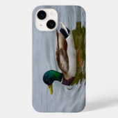 Swim Mallard Swim iPhone Case (Rückseite)