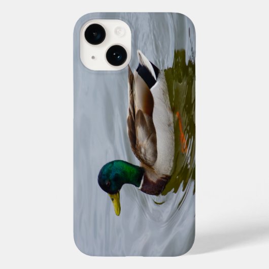 Swim Mallard Swim iPhone Case (Rückseite)