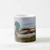 Swim Mallard Swim Kaffee Tasse (Mittel)