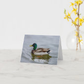 Swim Mallard Swim Karte (Gelbe Blume)
