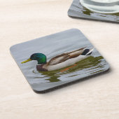 Swim Mallard Swim Untersetzer (Linke Seite)
